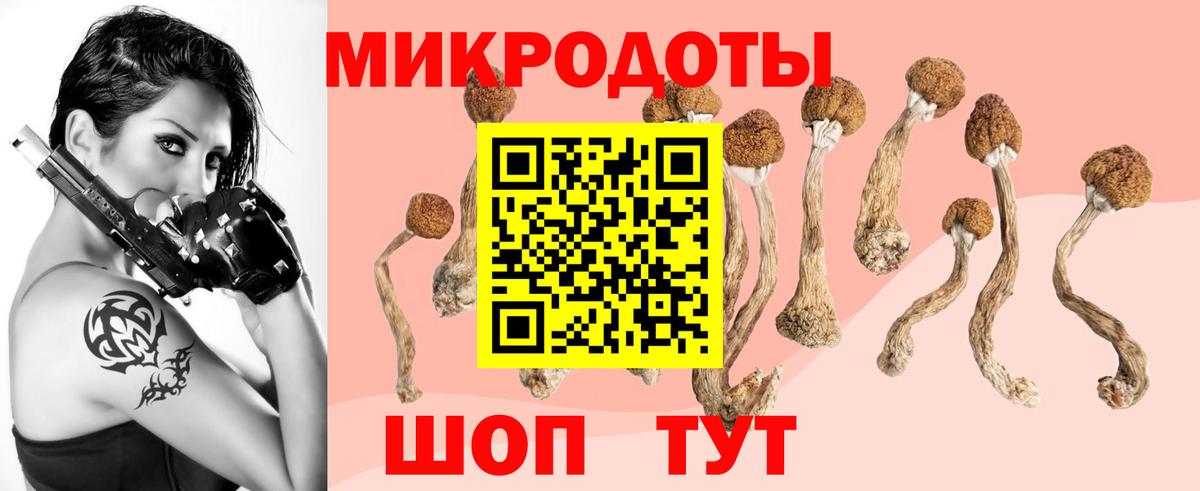 Галлюциногенные грибы мицелий  Вход с VPN  Галлюциногенные грибы Magic Shrooms  Михайловск 